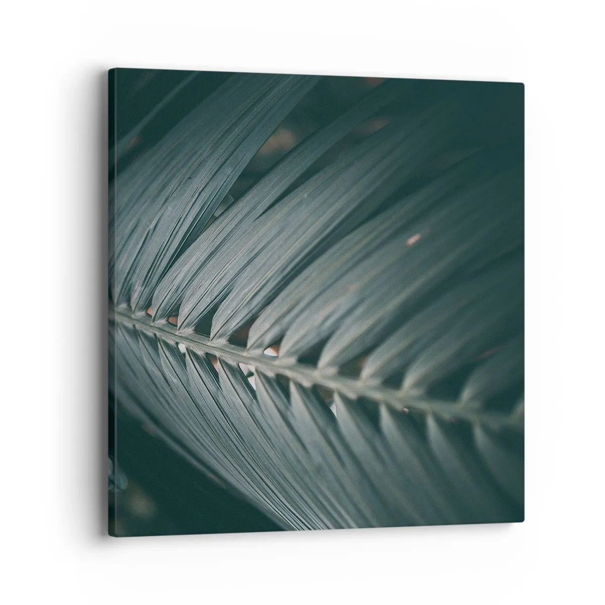 Quadro su tela - Stampe su Tela - La precisione della natura - 40x40 cm