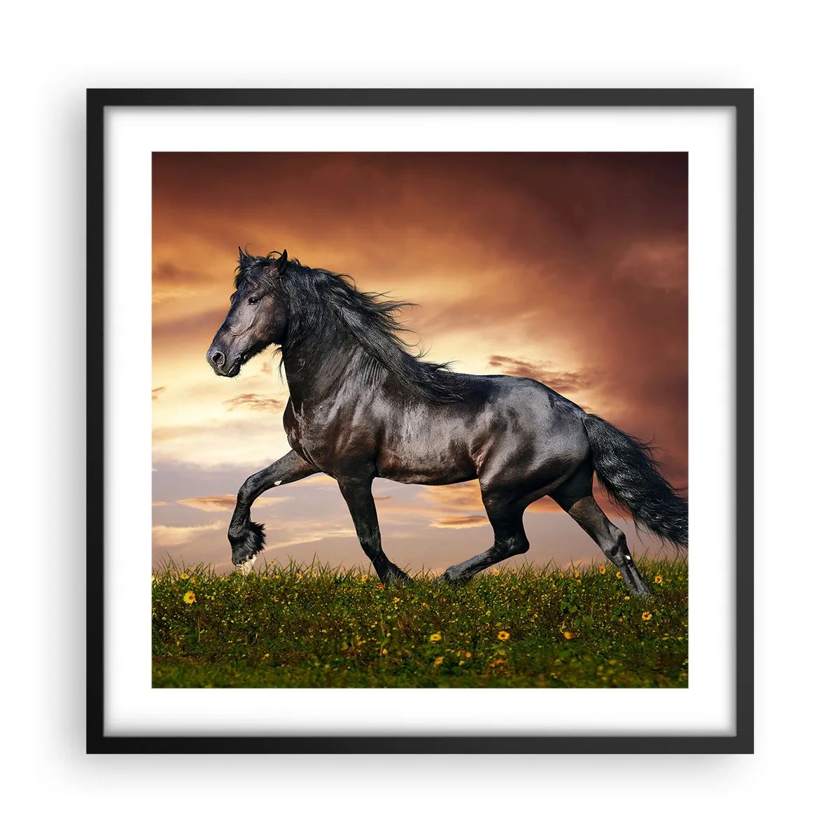 Poster in cornice nera - Il principe nero - 50x50 cm