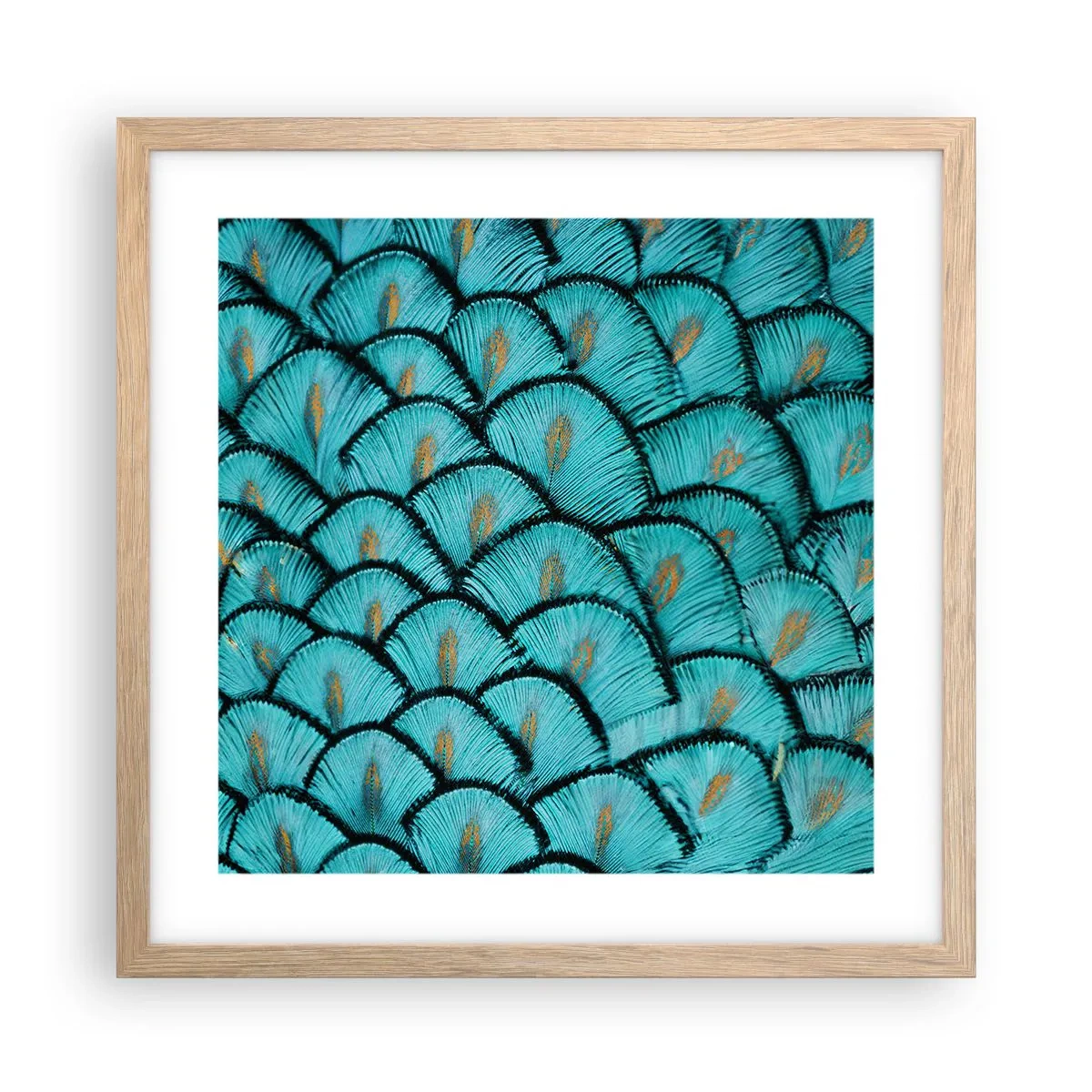 Poster in cornice rovere chiaro - La grande festa delle piume - 40x40 cm