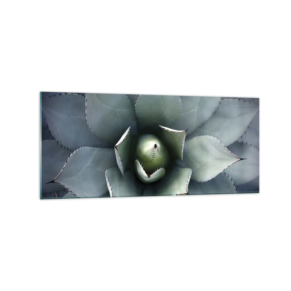 Quadro su vetro - Primo piano di una rosetta di agave in delicate tonalità di verde - 120x50cm - Adesca e minaccia - Decorazione murale moderna per soggiorno e camera da letto ARTTOR