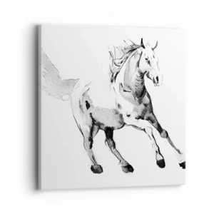 Quadro su tela - Stampe su Tela - Anima indomabile - 40x40 cm