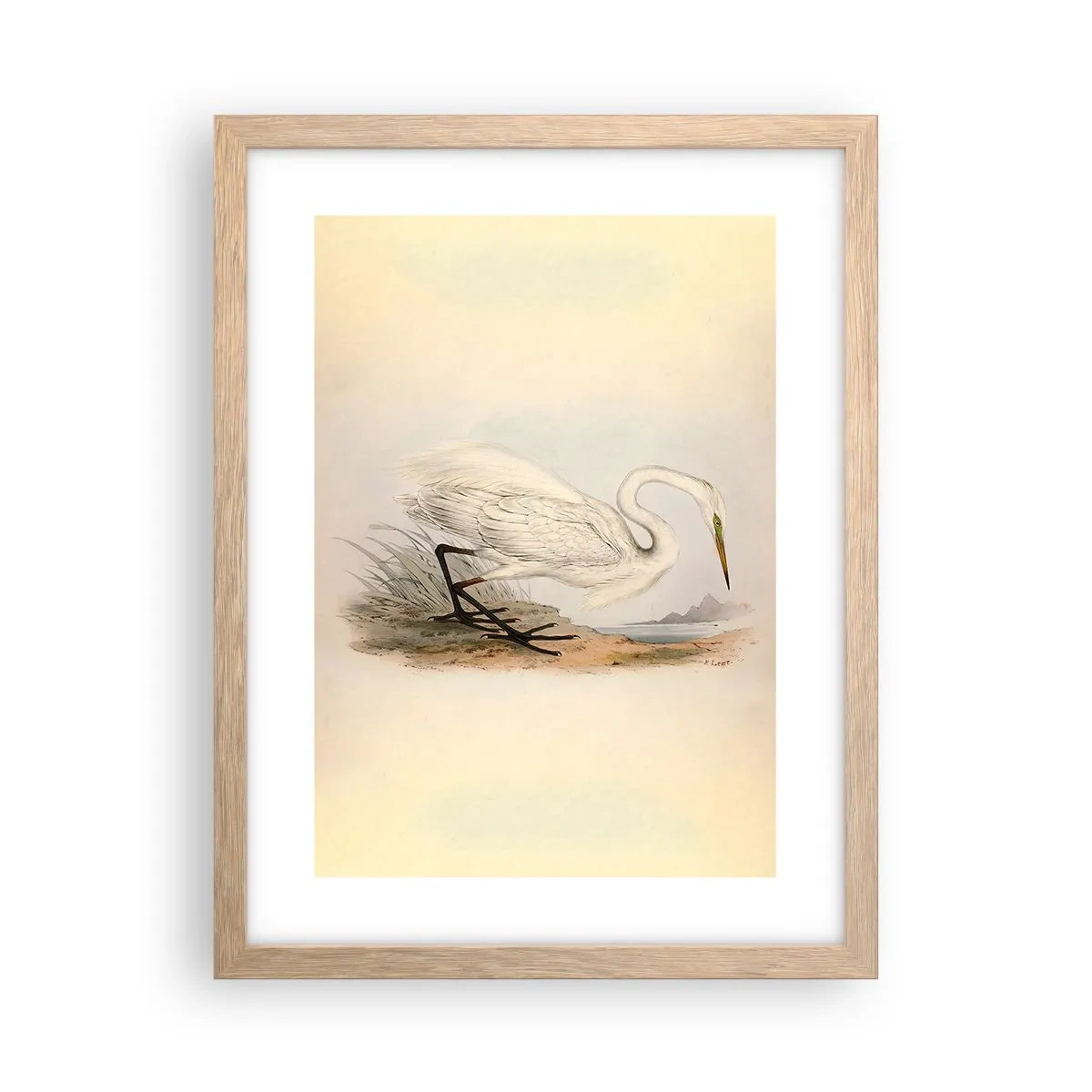 Poster in cornice rovere chiaro - La signora nel canneto - 30x40 cm
