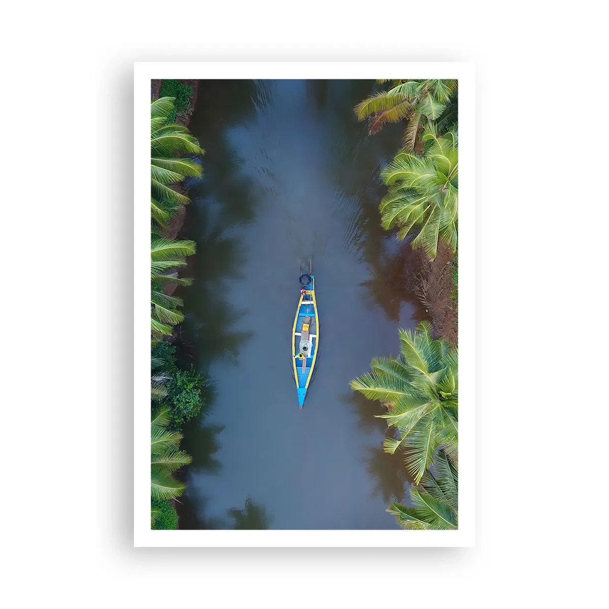 Poster - Sul percorso tropicale - 70x100 cm