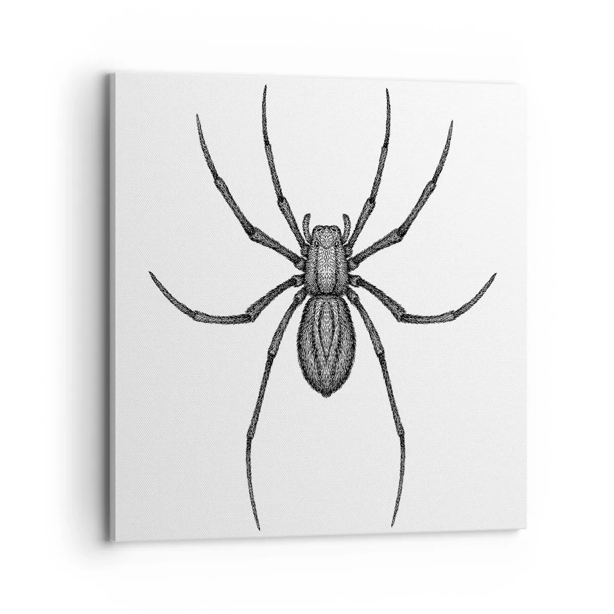 Quadro su tela - Stampe su Tela - Precisione inquietante - 70x70 cm