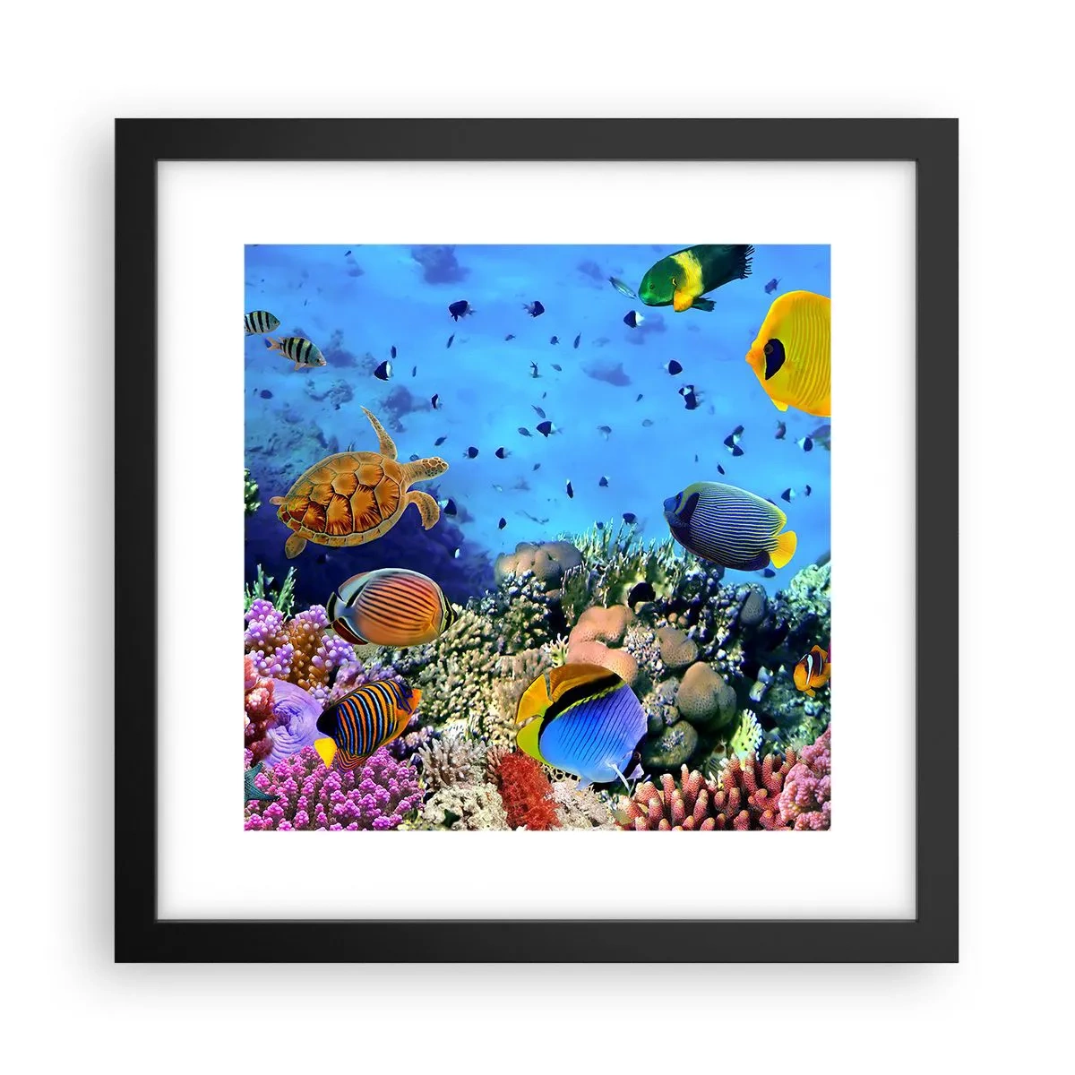 Poster in cornice nera - Ma cosa sappiamo della vita... - 30x30 cm