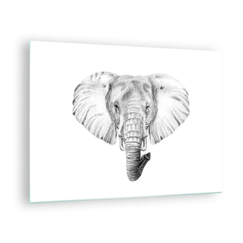 Quadro su vetro - Disegno in bianco e nero della testa di un elefante su sfondo bianco - 70x50cm - C'era un volta un elefante - Decorazione murale moderna per soggiorno e camera da letto ARTTOR