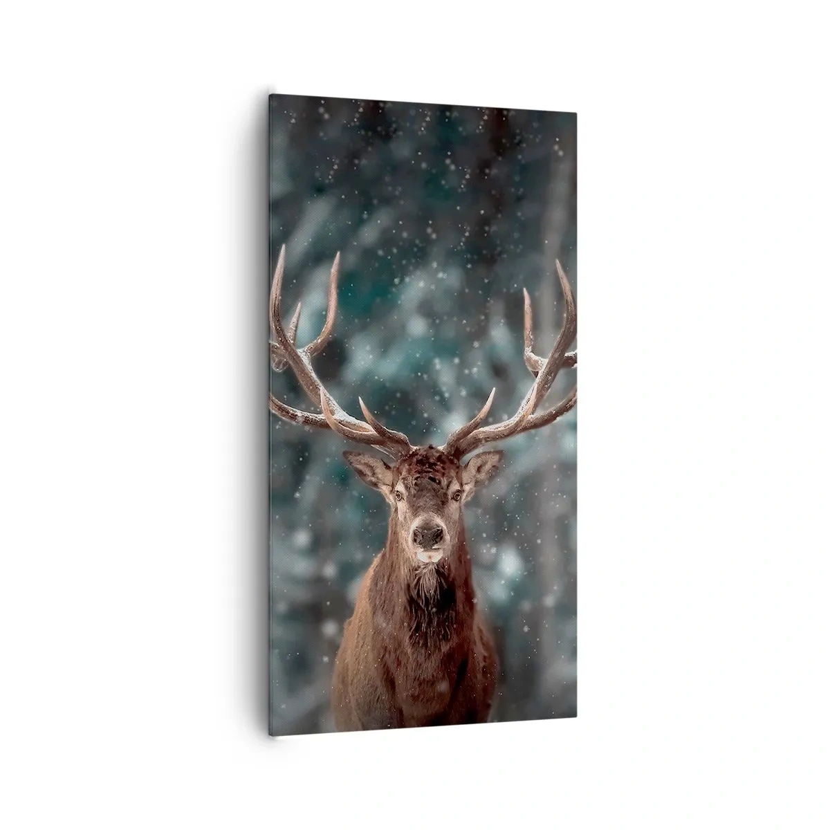 Quadro su tela - Stampe su Tela - Il re del bosco incoronato - 65x120 cm