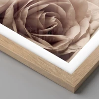 Rovere chiaro