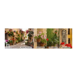 Campione di Fotomurale Premium Canvas - Un'esplosione di fiori - Città, Italia, Belle strade - 100x30 cm