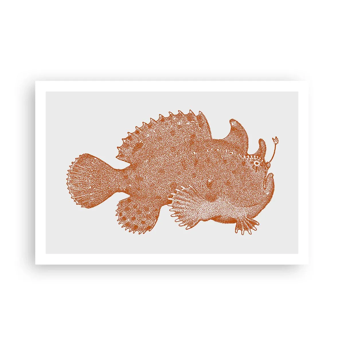 Poster - È davvero un pesce - 91x61 cm