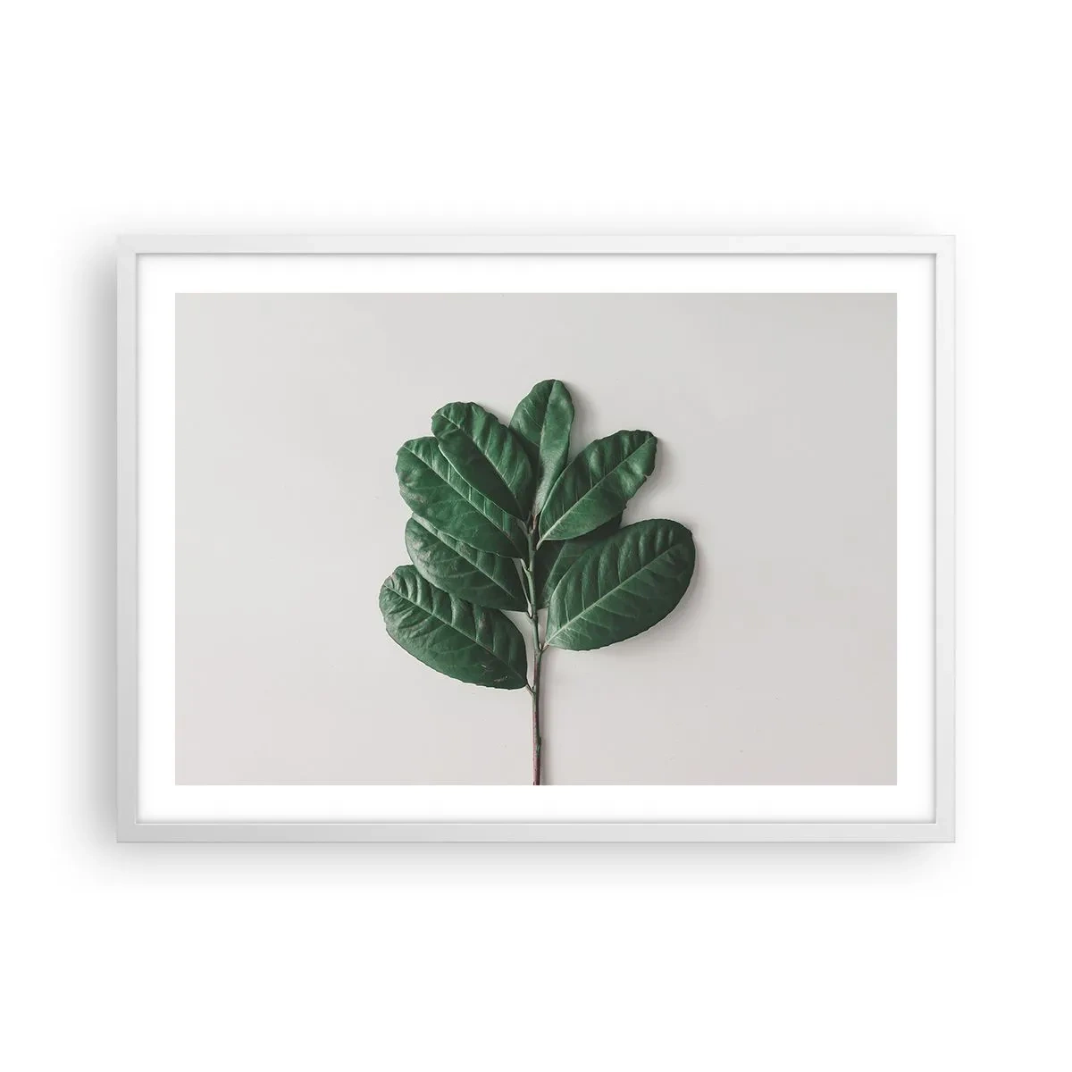 Poster in cornice bianca - Il disegno della natura stessa - 70x50 cm