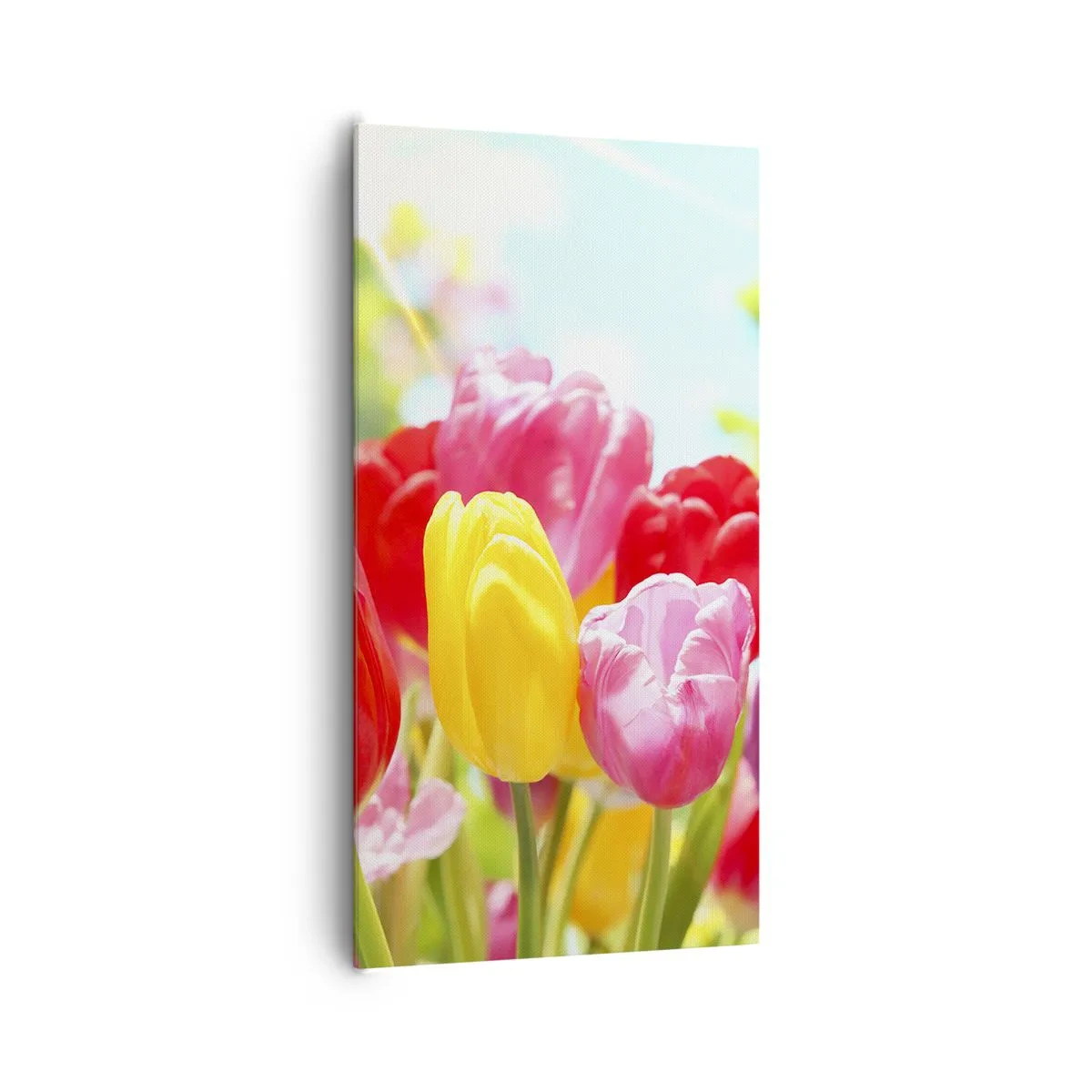 Quadro su tela - Stampe su Tela - Eccoci, i colori di maggio! - 65x120 cm