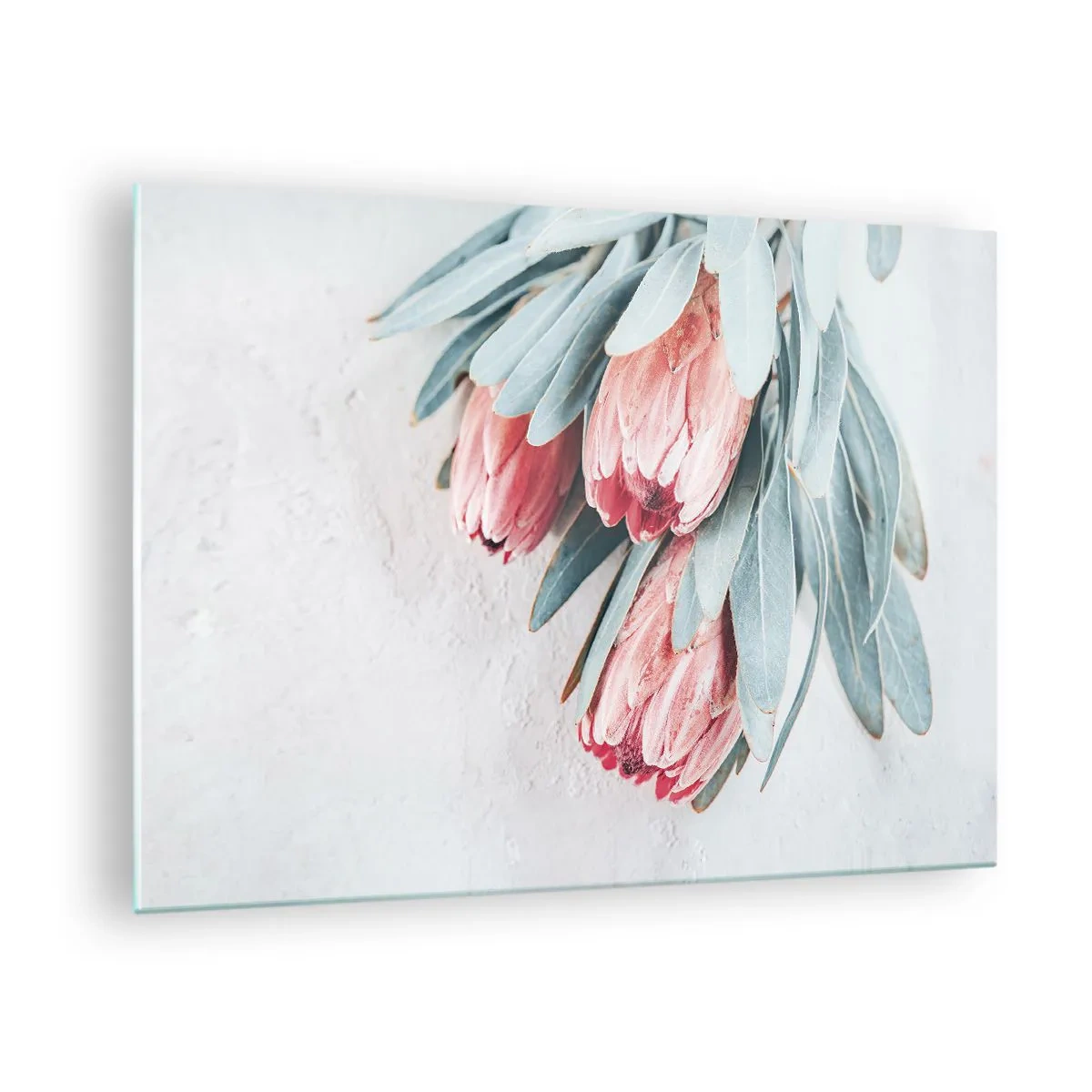 Quadro su vetro - Imbarazzati per la propria bellezza - 70x50 cm