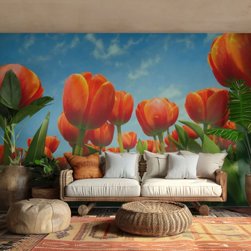 Fotomurali Premium Sand - Un campo di tulipani rossi contro un cielo blu - 100x70cm - A loro non serve nulla oltre al cielo azzurro - Decorazione murale moderna per soggiorno e camera da letto ARTTOR