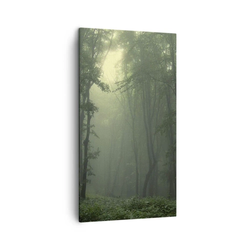 Quadro su tela - Stampe su Tela - Prima che si svegli - 45x80 cm