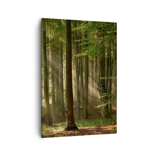 Quadro su tela - Stampe su Tela - Raggi di sole che penetrano attraverso gli alberi nella foresta - 50x70cm - Raggiante in un mattino di primavera - Decorazione murale moderna per soggiorno e camera da letto ARTTOR