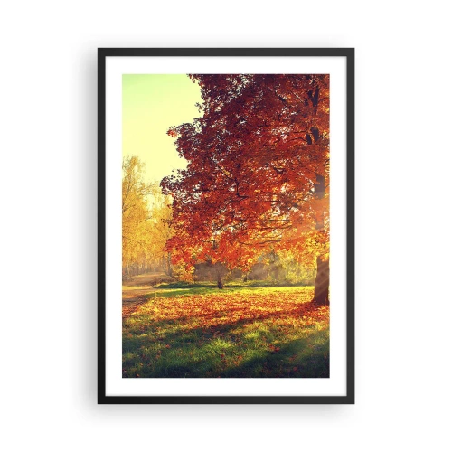 Poster in cornice nera - Parco autunnale con un albero con foglie dorate al sole - 50x70cm - Rosso è bello - Decorazione murale moderna per soggiorno e camera da letto ARTTOR