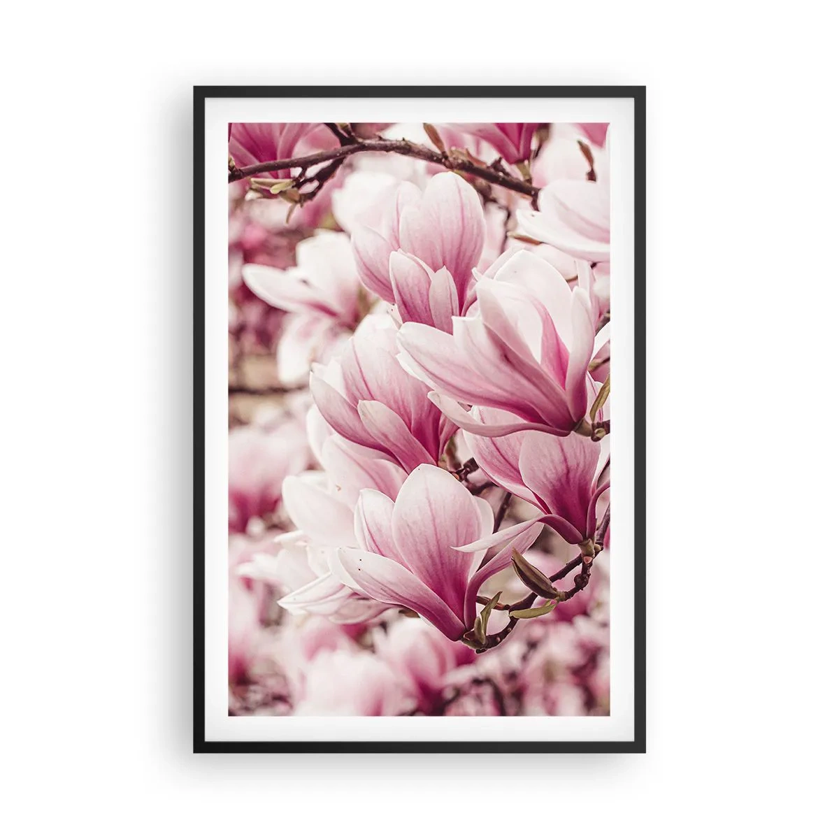 Poster in cornice nera - La primavera è rosa - 61x91 cm