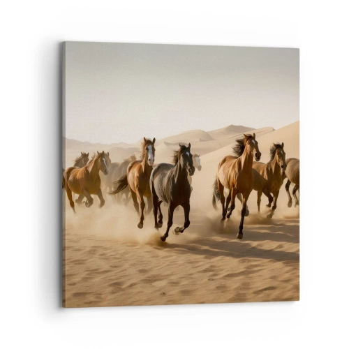 Quadro su tela - Stampe su Tela - Liberi come il vento - 70x70 cm