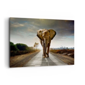 Quadro su tela - Stampe su Tela - Un elefante che cammina lungo una strada attraverso un paesaggio al tramonto - 120x80cm - E non nel negozio di cristalli - Decorazione murale moderna per soggiorno e camera da letto ARTTOR