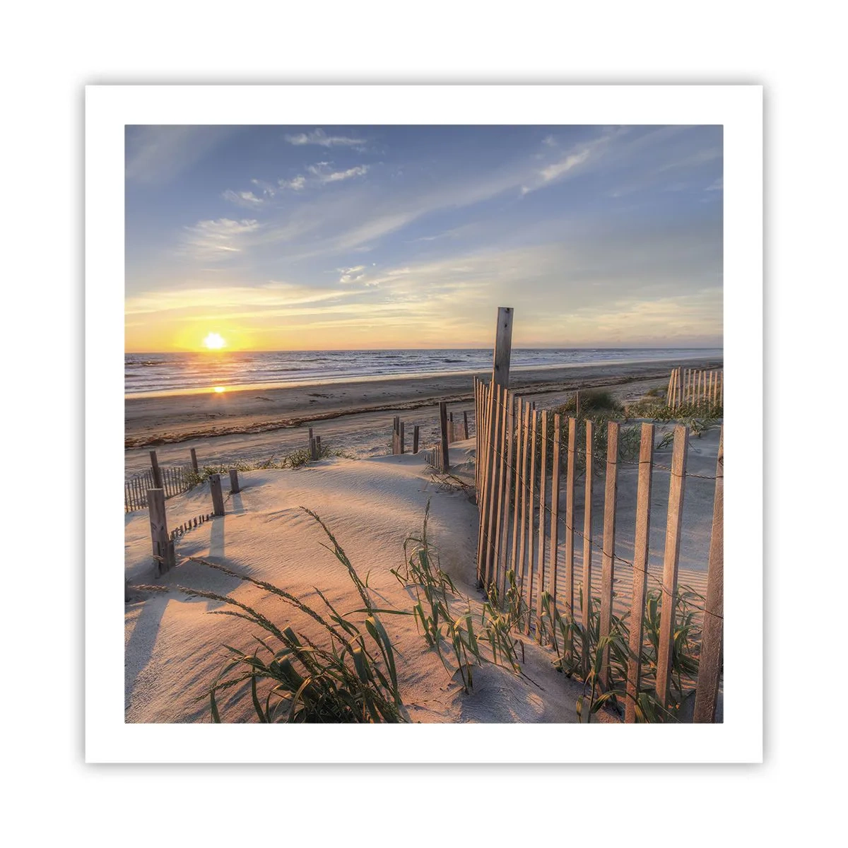 Poster - Luci e ombre del vento - 60x60 cm