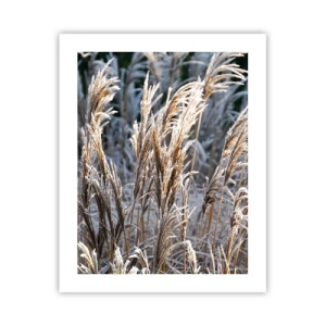 Poster - Vestite di brina - 40x50 cm