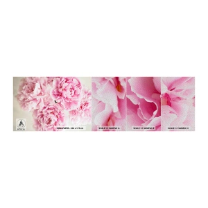 Campione di Fotomurale Premium Sand - Nel fasto rosa - Peonie, Mazzo di fiori, Fiori - 100x30 cm