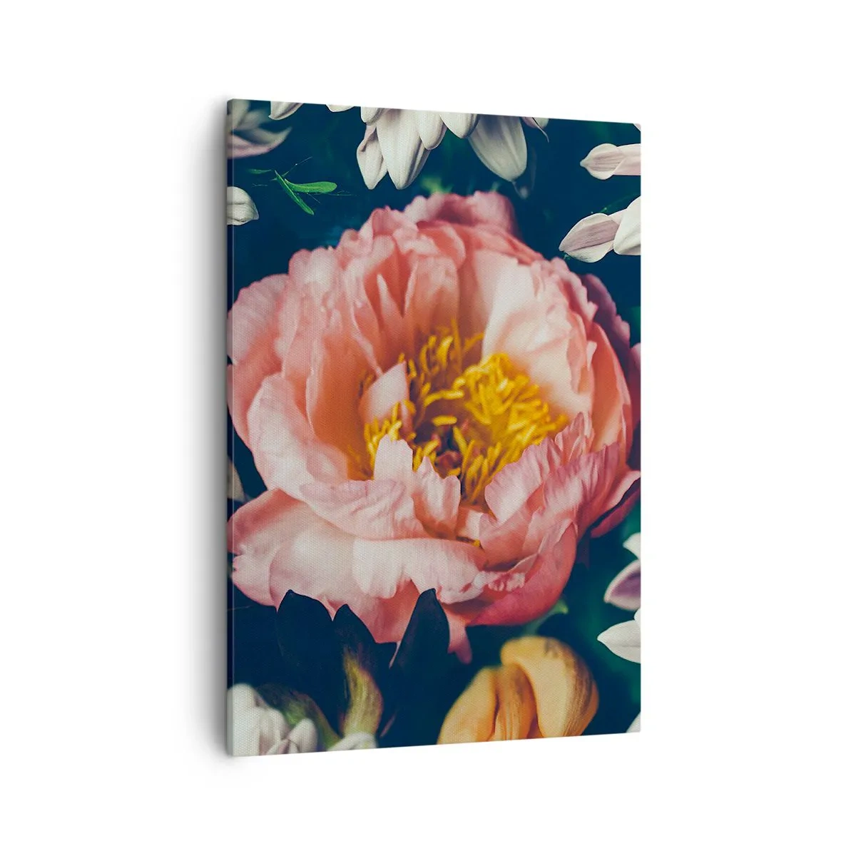 Quadro su tela - Stampe su Tela - Composizione floreale con peonia e crisantemi su sfondo scuro - 50x70cm - Con fasto barocco - Decorazione murale moderna per soggiorno e camera da letto ARTTOR