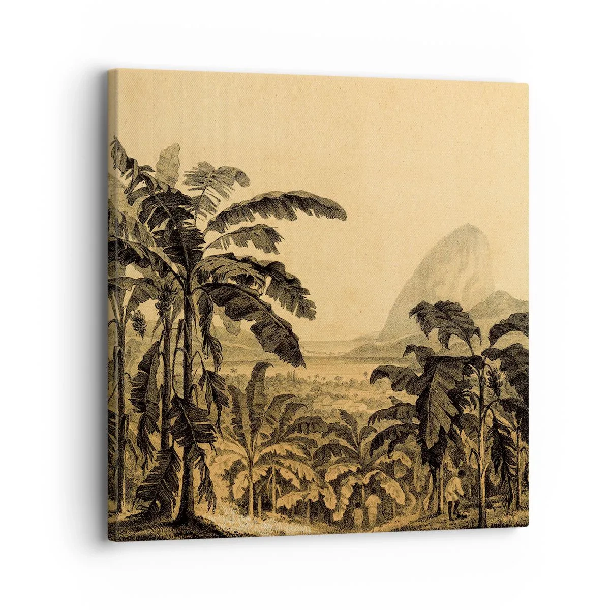 Quadro su tela - Stampe su Tela - Nel clima coloniale - 30x30 cm