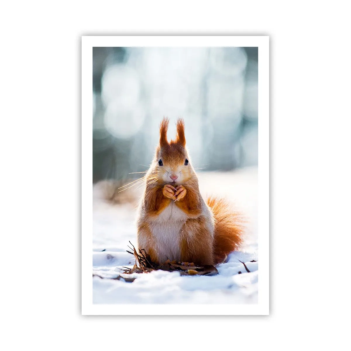 Poster - Che cosa guardi? - 61x91 cm
