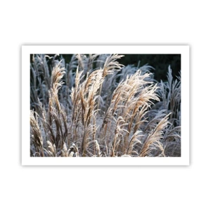 Poster - Vestite di brina - 70x50 cm