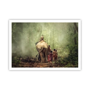 Poster - Bambini con un elefante in una foresta verde alla luce del mattino - 100x70cm - Il nuovo Libro della Giungla - Decorazione murale moderna per soggiorno e camera da letto ARTTOR