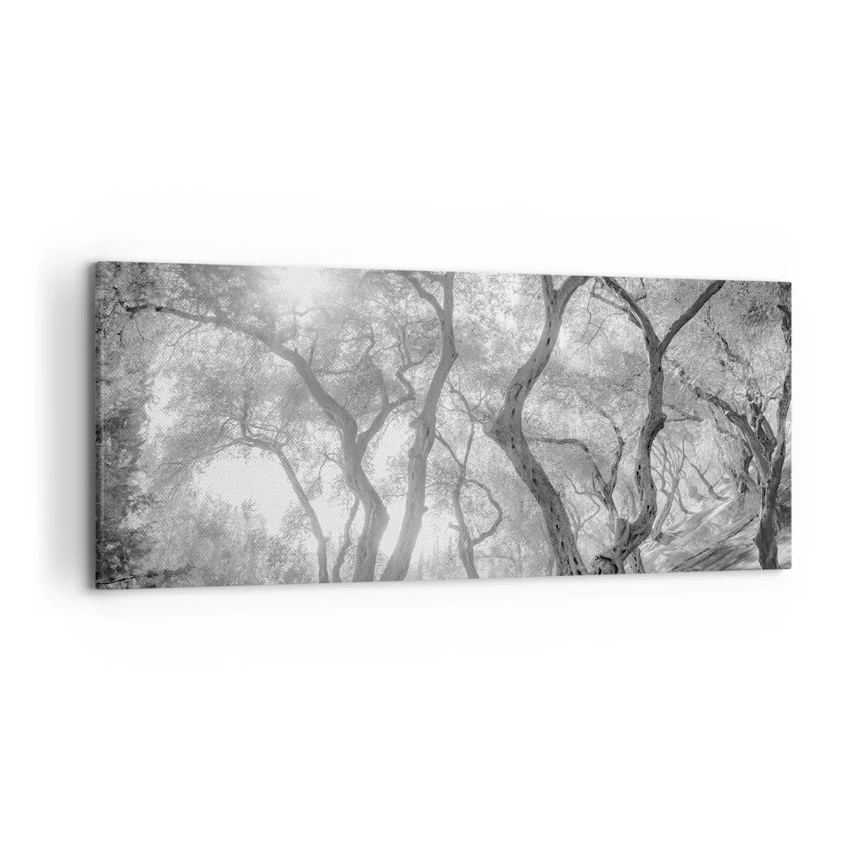 Quadro su tela - Stampe su Tela - Vista in bianco e nero degli alberi in un uliveto con raggi di sole - 120x50cm - Nell'orto degli ulivi - Decorazione murale moderna per soggiorno e camera da letto ARTTOR