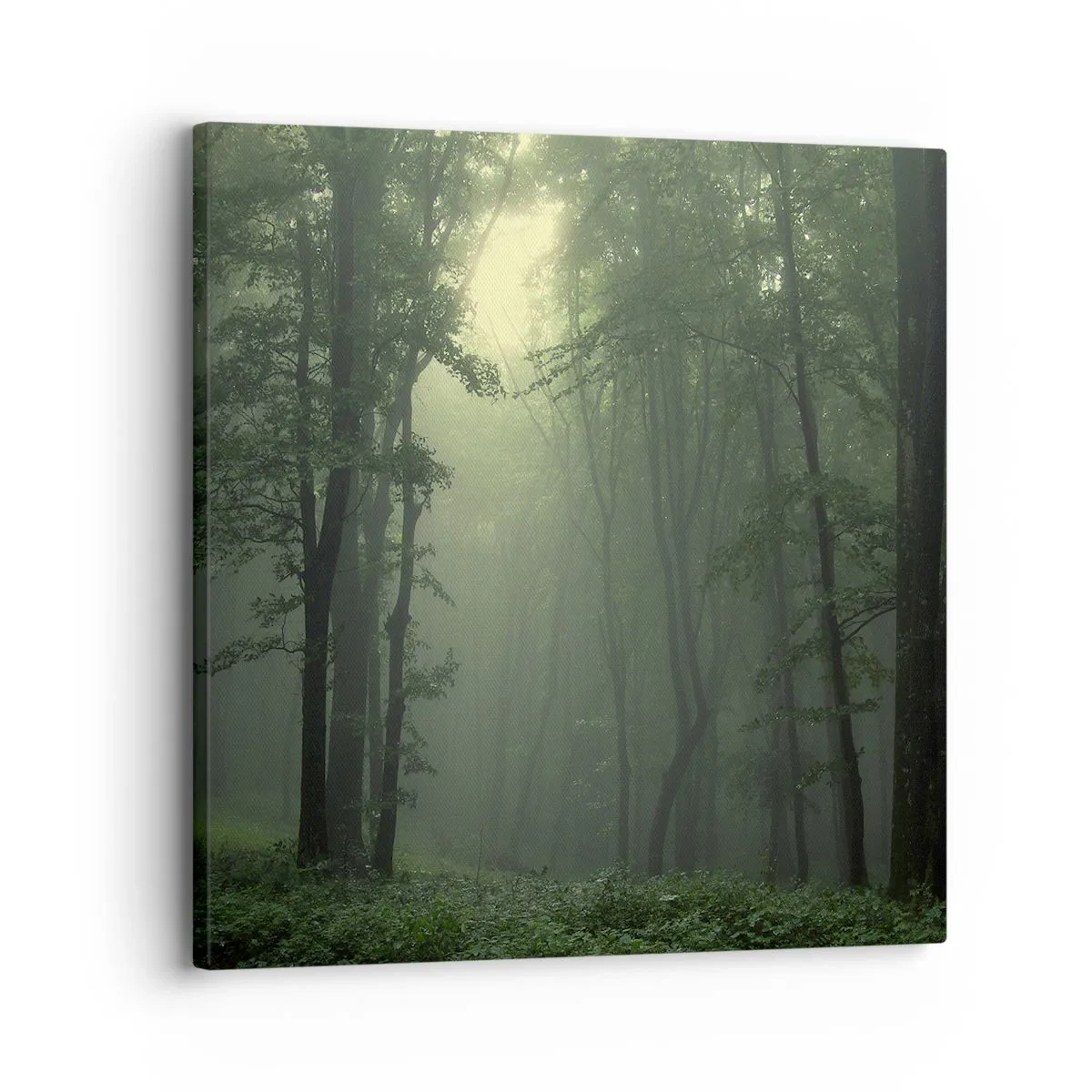 Quadro su tela - Stampe su Tela - Prima che si svegli - 30x30 cm