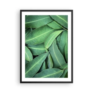 Poster in cornice nera - Foglie verdi disposte in una composizione densa - 50x70cm - Succosi e freschi - Decorazione murale moderna per soggiorno e camera da letto ARTTOR
