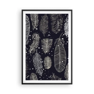 Poster in cornice nera - Pizzo piumato - 61x91 cm