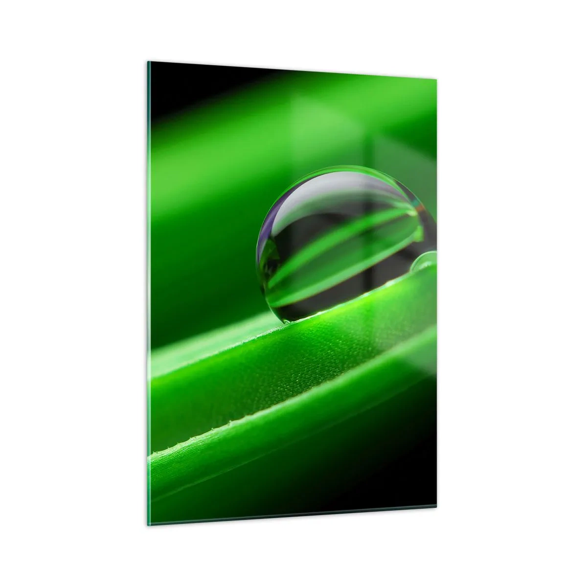 Quadro su vetro - Una goccia di rugiada su una foglia verde - 50x70cm - La vita da vicino - Decorazione murale moderna per soggiorno e camera da letto ARTTOR