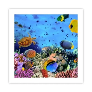 Poster - Ma cosa sappiamo della vita... - 50x50 cm