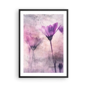 Poster in cornice nera - Delicati fiori nelle tonalità del rosa e del viola su uno sfondo chiaro - 50x70cm - Il sogno dei fiori - Decorazione murale moderna per soggiorno e camera da letto ARTTOR