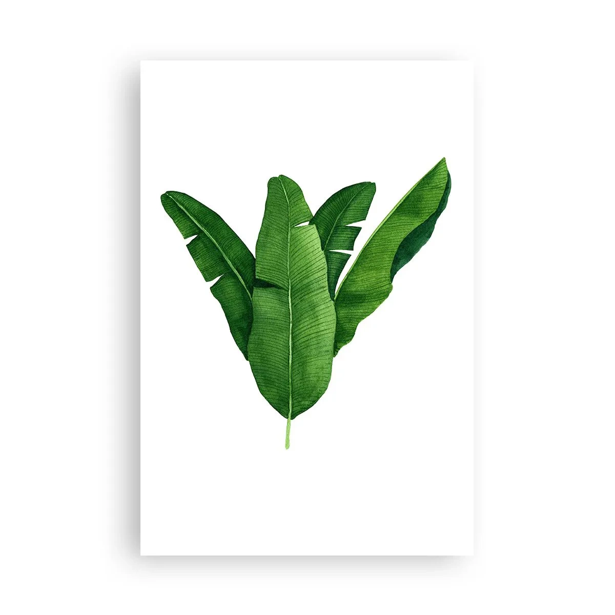Poster - Simmetria verde - 61x91 cm