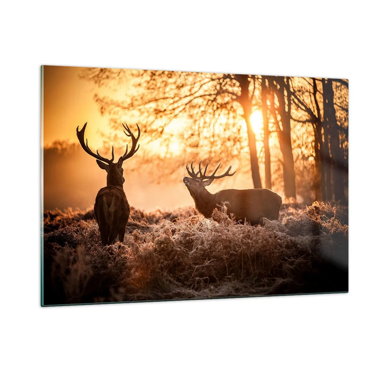 Quadro su vetro - Due cervi in una scena di foresta all'alba - 120x80cm - Il sogno del cacciatore - Decorazione murale moderna per soggiorno e camera da letto ARTTOR
