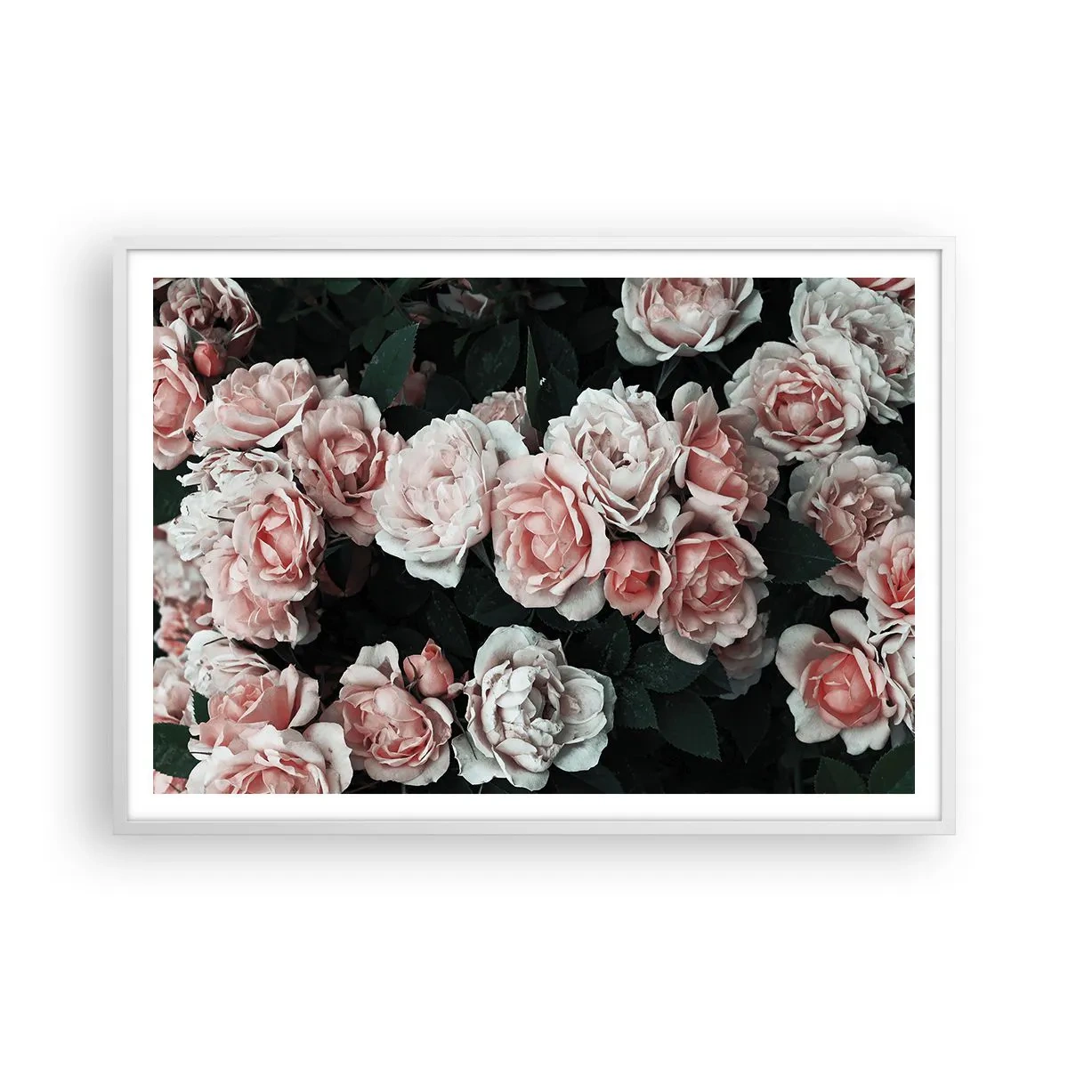 Poster in cornice bianca - Composizione di rose - 100x70 cm