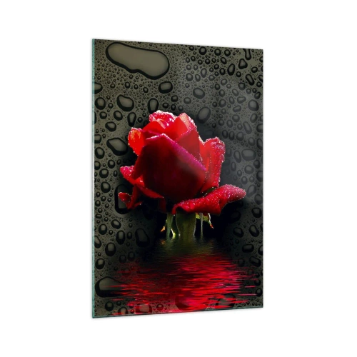 Quadro su vetro - Rosa rossa con gocce d'acqua su sfondo scuro - 70x100cm - Rosso e nero - Decorazione murale moderna per soggiorno e camera da letto ARTTOR