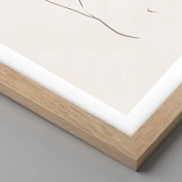 Rovere chiaro