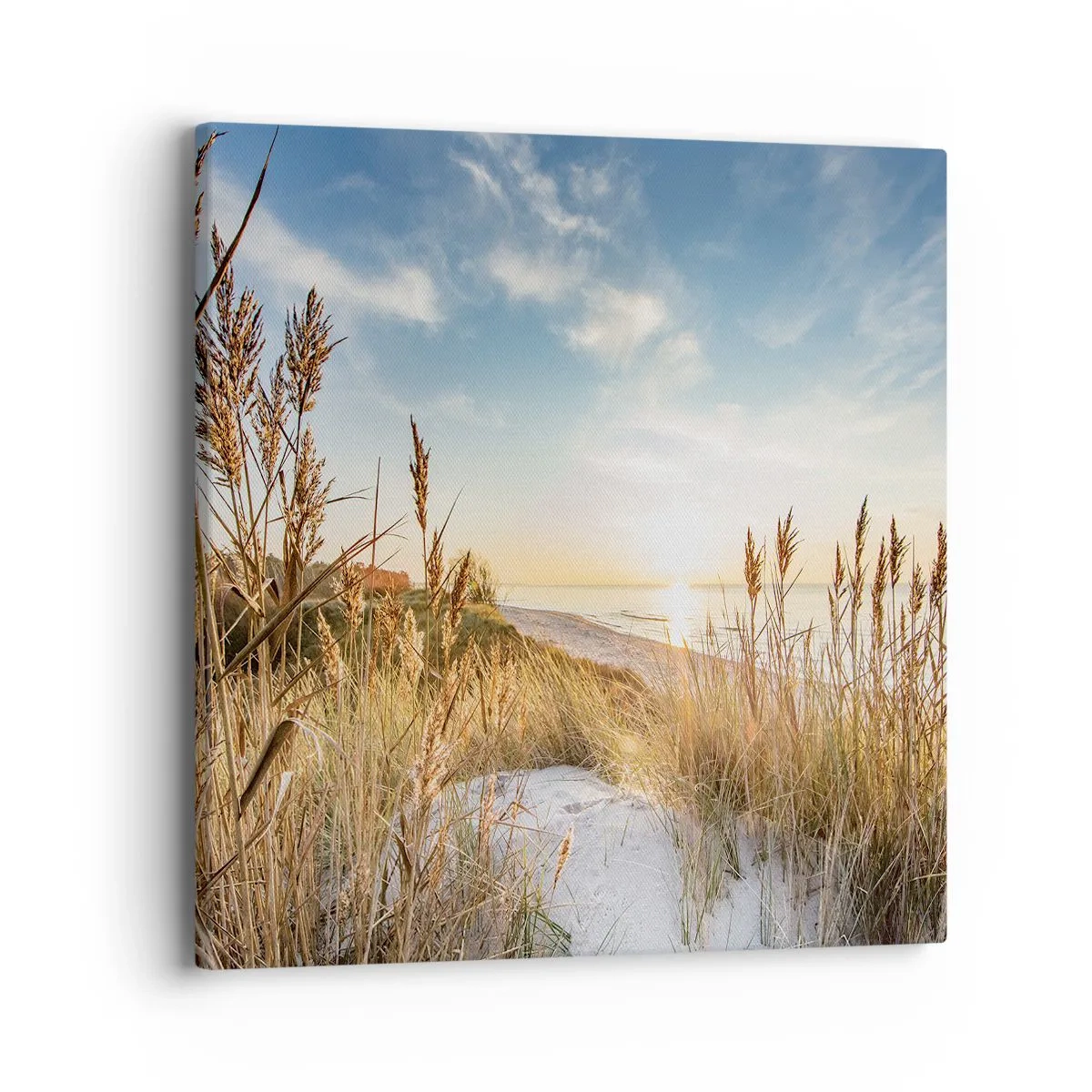 Quadro su tela - Stampe su Tela - Spiaggia del nord - 40x40 cm