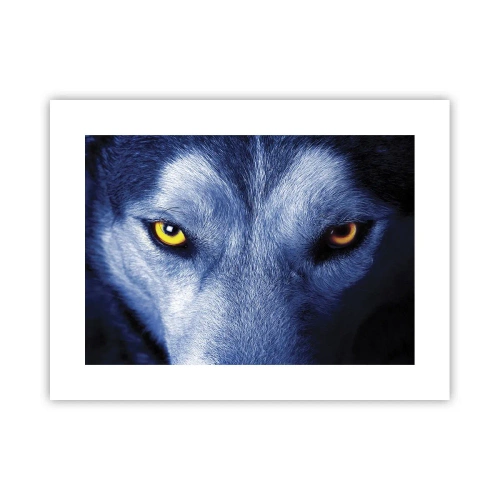Poster - Sguardo ipnotico - 40x30 cm