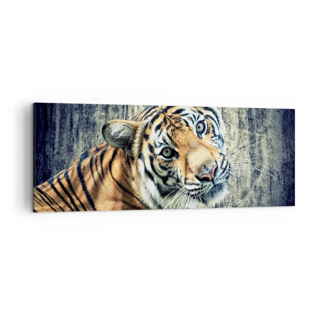 Quadro su tela - Stampe su Tela - Una tigre sdraiata contro un muro dalla consistenza ruvida - 140x50cm - Ritratto nei flussi di luce - Decorazione murale moderna per soggiorno e camera da letto ARTTOR