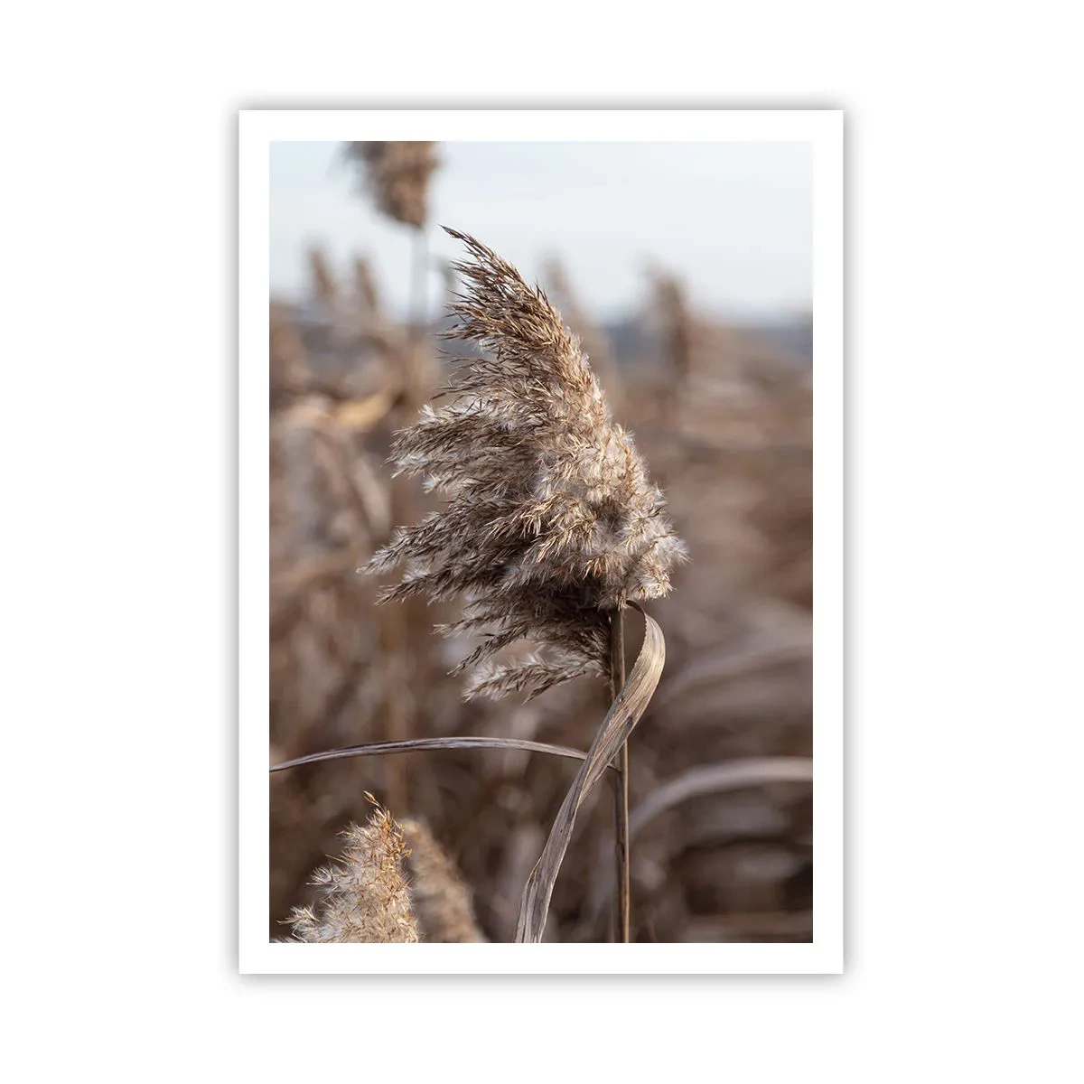 Poster - è tempo di volare col vento - 70x100 cm