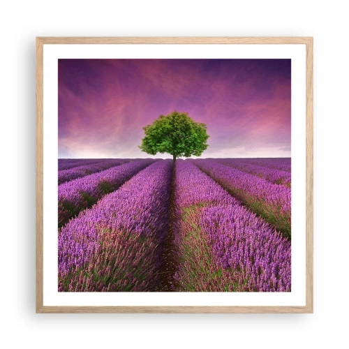 Poster in cornice rovere chiaro - Sui campi di lavanda - 60x60 cm