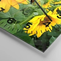 Quadrante con numeri